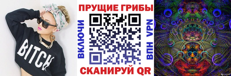 Купить где Дрезна Галлюциногенные грибы MAGIC MUSHROOMS