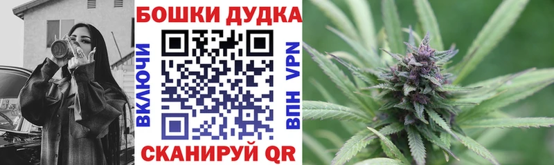 Шишки марихуана план  Купить закладки  Дрезна 